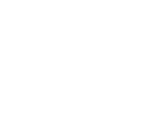 logo_branco_cruzTransp_site